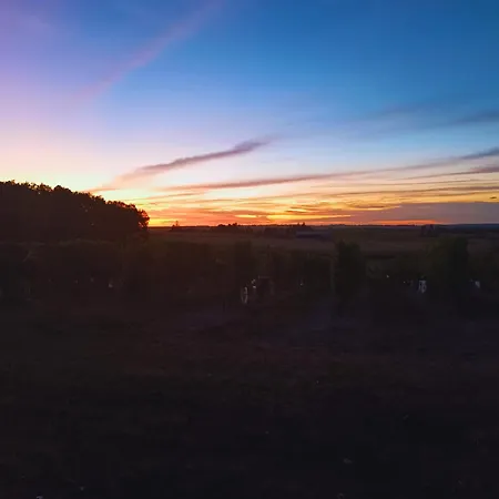 Gite Climatise Avec Jardin Prive Vue Sur Les Vignes Entre Jonzac Et Cognac شقة Léoville