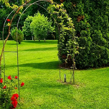 Gite Climatise Avec Jardin Prive Vue Sur Les Vignes Entre Jonzac Et Cognac *