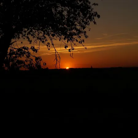 Climatise Avec Jardin Prive Vue Sur Les Vignes Entre Jonzac Et Cognac * Leoville