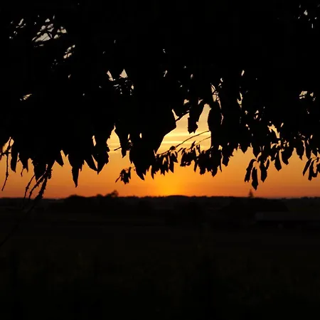 Climatise Avec Jardin Prive Vue Sur Les Vignes Entre Jonzac Et Cognac