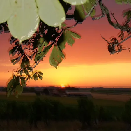 Climatise Avec Jardin Prive Vue Sur Les Vignes Entre Jonzac Et Cognac *