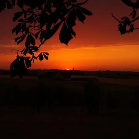 Climatise Avec Jardin Prive Vue Sur Les Vignes Entre Jonzac Et Cognac