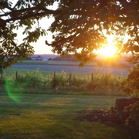 Apartment Climatise Avec Jardin Prive Vue Sur Les Vignes Entre Jonzac Et Cognac Leoville