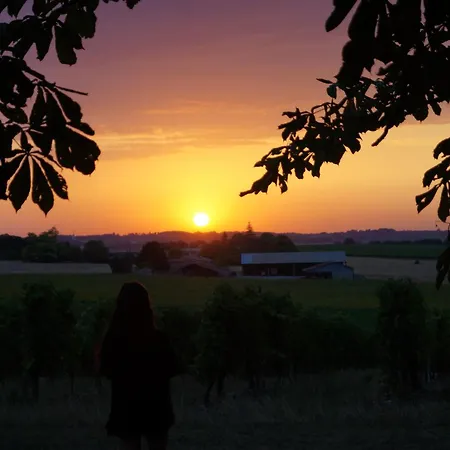 Climatise Avec Jardin Prive Vue Sur Les Vignes Entre Jonzac Et Cognac Leoville