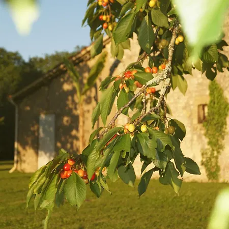 Climatise Avec Jardin Prive Vue Sur Les Vignes Entre Jonzac Et Cognac Apartment Leoville