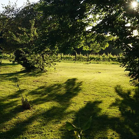 Apartment Climatise Avec Jardin Prive Vue Sur Les Vignes Entre Jonzac Et Cognac